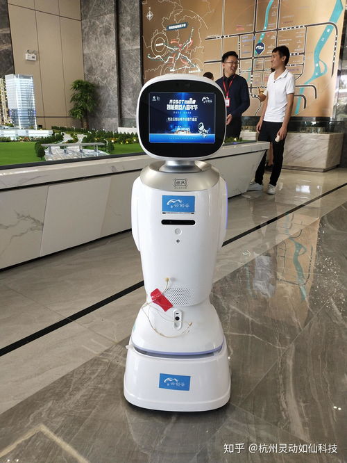 杭州有機(jī)器人租賃公司嗎